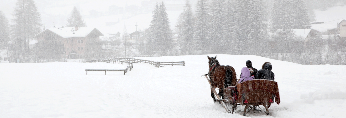 horse drawn sleigh with snow falling in colorado